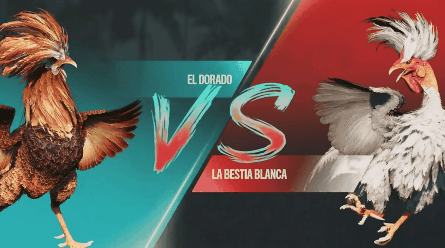 777vs Cassino Brasileiro e Plataforma de Jogos